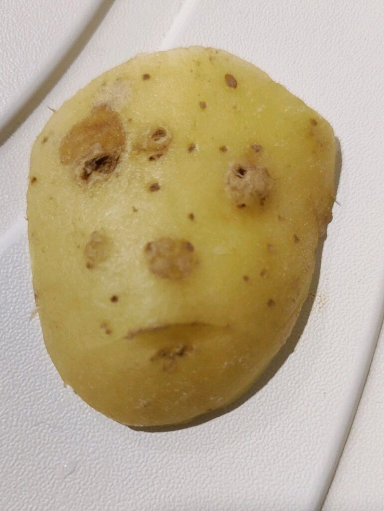Rostro extraÃ­do de patata triste